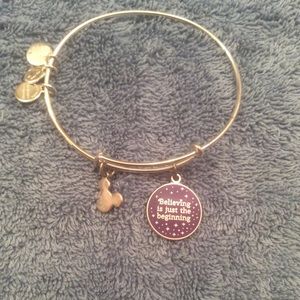 Disney Parks Alex and Ani  Charm Bangle Bracelet